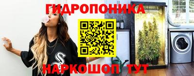 дживик Тверь