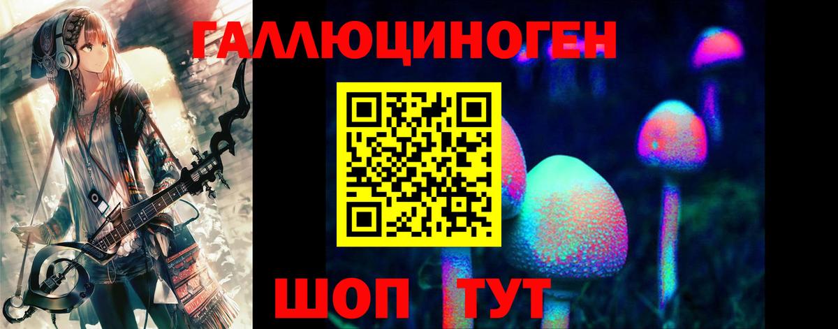Нововоронеж  Галлюциногенные грибы Cubensis  Вход с VPN 