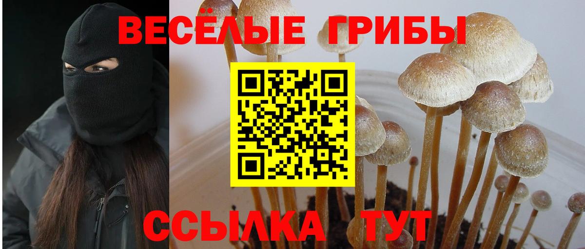 Псилоцибиновые грибы MAGIC MUSHROOMS Нововоронеж